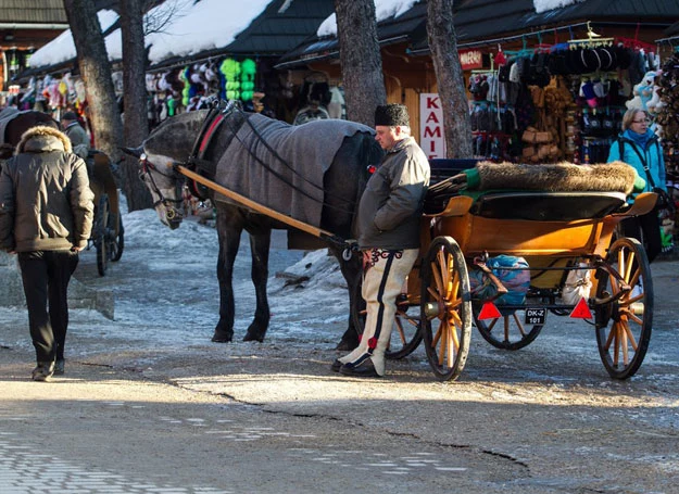 Zakopane Zima w Tatrach. Woznica na Krupowkach czeka na turystow 