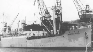 Statek "Morska Wola" w porcie w Gdyni