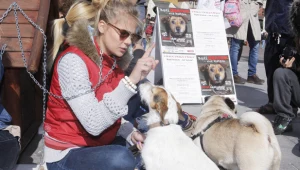 Marta Wierzbicka często angażuje się w akcje na rzecz obrony zwierząt.  