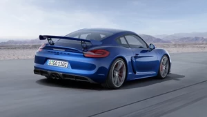 Cayman GT4. 385 koni, 4,4 sekundy do setki