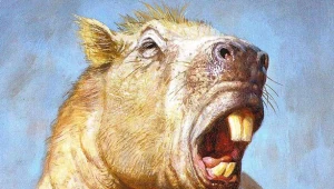 Josephoartigasia monesi skutecznie bronił się przed drapieżnikami fot. BBC