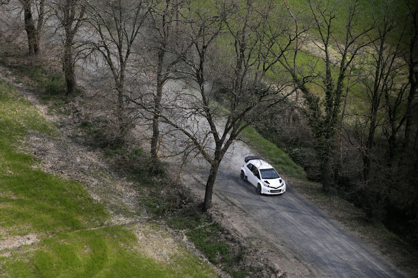 Toyota Yaris WRC