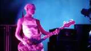 D'Arcy Wretzky