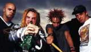 Soulfly