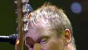 Sting