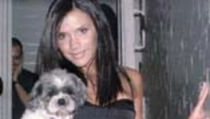 Victoria Beckham