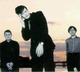 Pulp Pulp