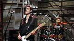 Elastica