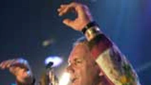 Sting