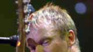 Sting
