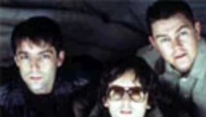 Pulp