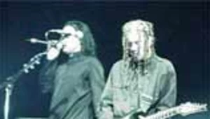 Korn (fot. Konrad Sikora)