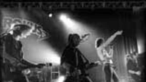 Krokus