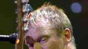 Sting