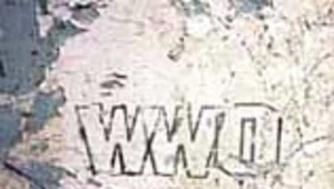 Nowatorski klip WWO
