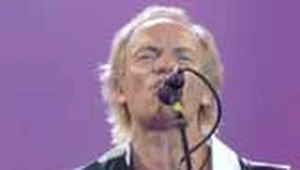 Sting