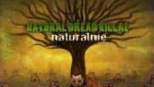 Okładka "Naturalnie"