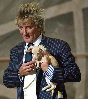 Rod Stewart