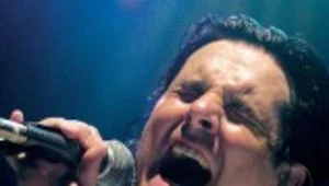 Steve Hogarth