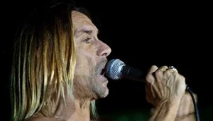Iggy Pop