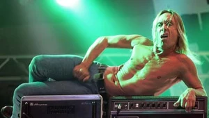 Iggy Pop