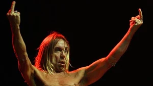 Iggy Pop ma przesłanie do poducentów jego biografii - fot. Matt Cardy