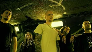 The Rotted