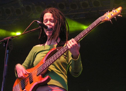 Jahga (Lion Vibrations) Jahga (Lion Vibrations)