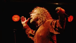 Robert Plant zaklina Anabrus simplex fot. Jim Dyson