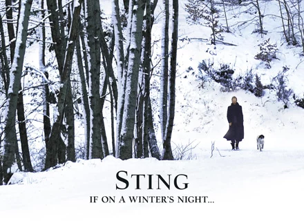 Sting na okładce płyty "If On A Winter's Night" Sting na okładce płyty "If On A Winter's Night"