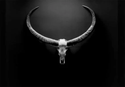 Symbolika z klipu "On To The Next One" Jay'a-Z Symbolika z klipu "On To The Next One" Jay'a-Z