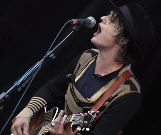 Pete Doherty to stały gość sal sądowych - fot. Matt Cardy