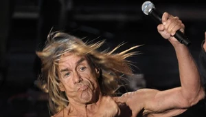 Pierwszy album The Stooges ukazał się w 1969 roku. Na zdjęciu Iggy Pop - fot. Michael Loccisano