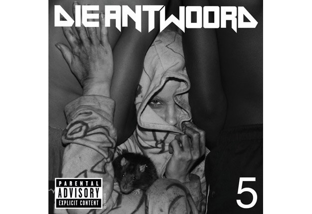 Die Antwoord "5"