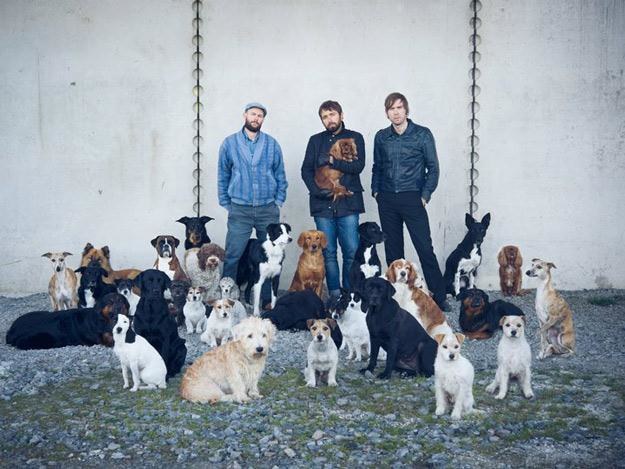 Peter Bjorn And John podczas sesji z pieskami