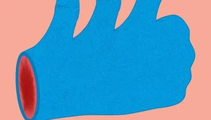 Grupa Peter Bjorn And John prezentuje nowy album