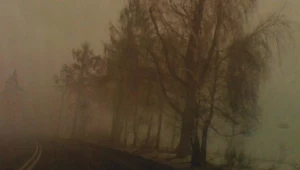 "Enjoy The Solitude" Made In Poland ukaże się w limitowanym nakładzie
