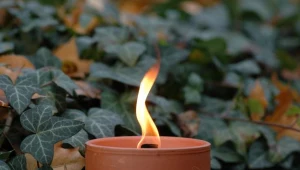 Marek Skolarski zostawił po sobie wielkie przeboje - fot. Andras Szilagyi