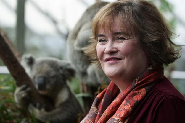 Susan Boyle w Sydney (stąd obecność koali na drugim planie) - fot. Lisa Maree Williams Susan Boyle w Sydney (stąd obecność koali na drugim planie) - fot. Lisa Maree Williams