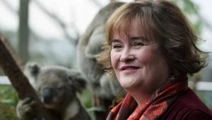 Susan Boyle w Sydney (stąd obecność koali na drugim planie) - fot. Lisa Maree Williams