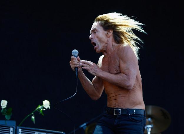 Na czele Iggy And The Stooges stoi Iggy Pop - fot. Simone Joyner