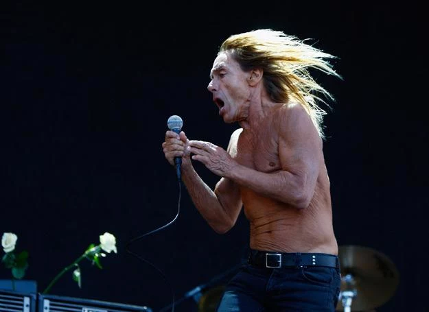 Ambasadorem akcji został Iggy Pop - fot. Simone Joyner