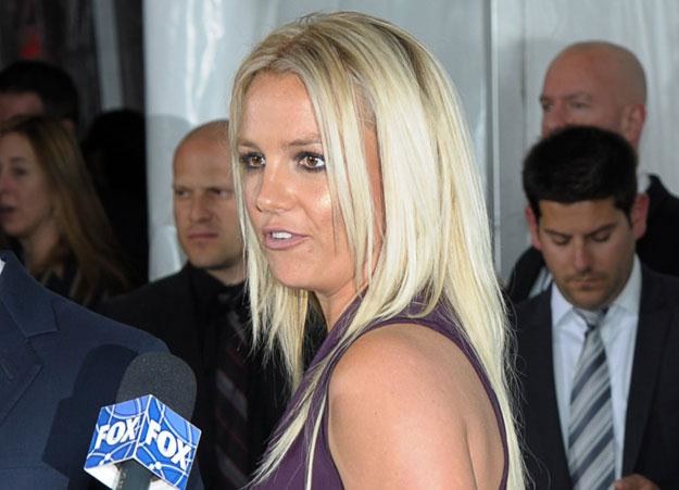 Britney Spears: Pieczony kurczak i kwiaty magnolii fot. Dave Kotinsky