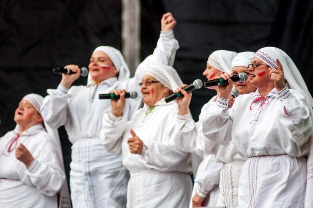 Jarzębina w poznańskiej strefie kibica - fot. Marek Lapis