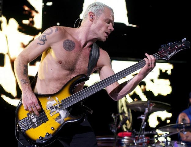 Flea, szalony basista Red Hot Chili Peppers - fot. Juan Naharro Gimenez