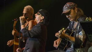 Scorpions w akcji - fot. Didier Baverel