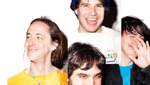 Open'er: Animal Collective i inni