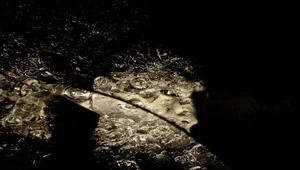 Non Opus Dei to czołówka awangardowego black metalu
