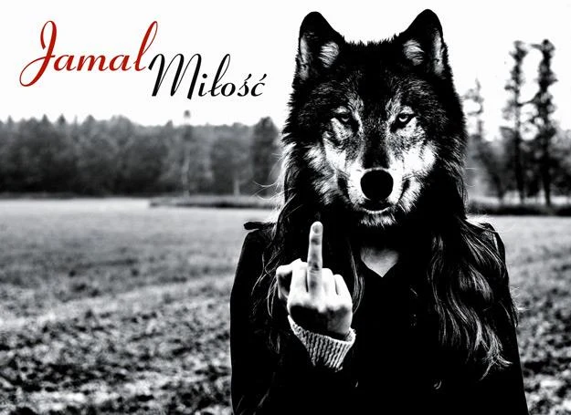 Jamal na płycie "Miłość" znów zaskakuje Jamal na płycie "Miłość" znów zaskakuje