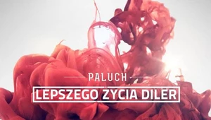 Polska lista: Paluch wygrał z Beyonce